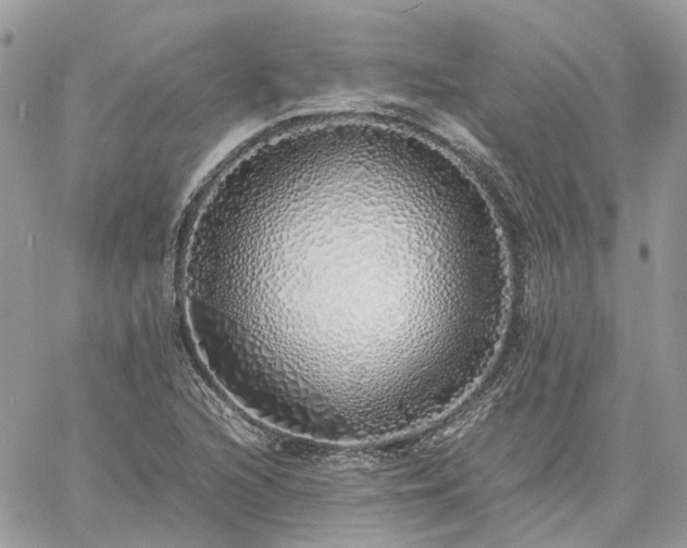 X0000060781216200511171234