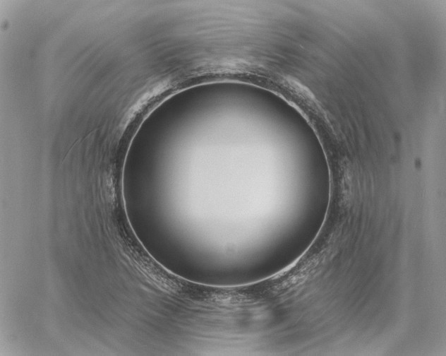 X0000060781218200511171234