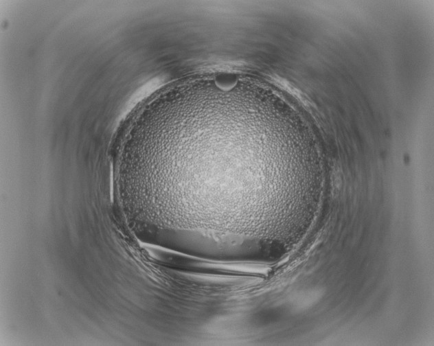 X0000060781219200511171234