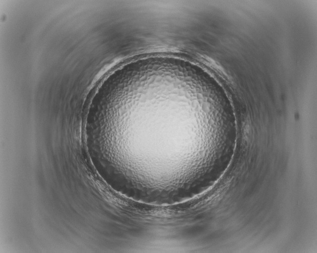 X0000060781220200511171234