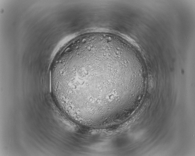 X0000060781223200511171234