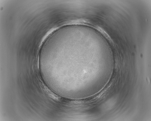 X0000060781224200511171234