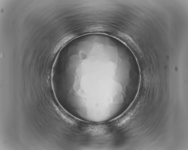 X0000060781225200511171234