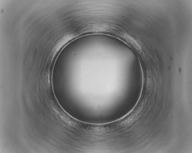 X0000060781226200511171234