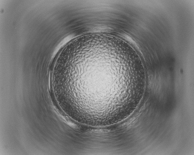 X0000060781227200511171234