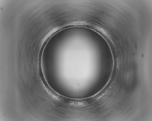 X0000060781229200511171235