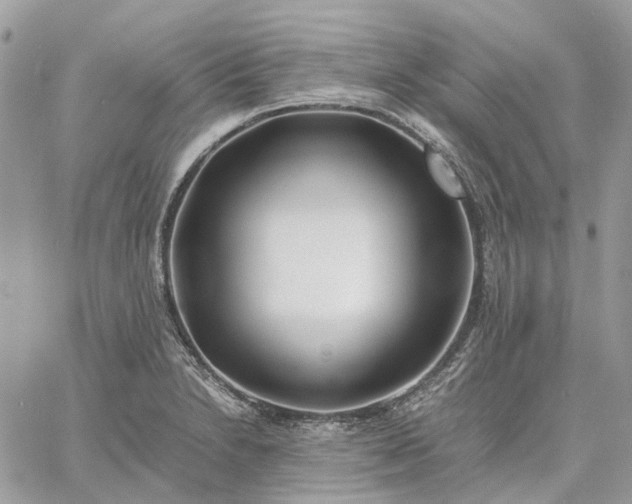 X0000060781230200511171235