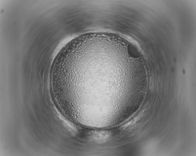 X0000060781231200511171235