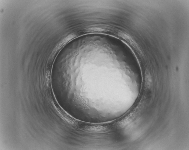 X0000060781233200511171235