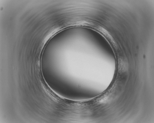 X0000060781234200511171235