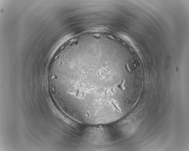 X0000060781235200511171235