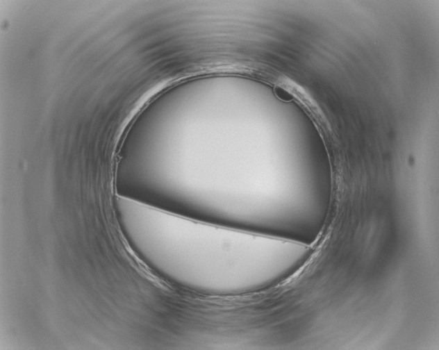 X0000060781236200511171235