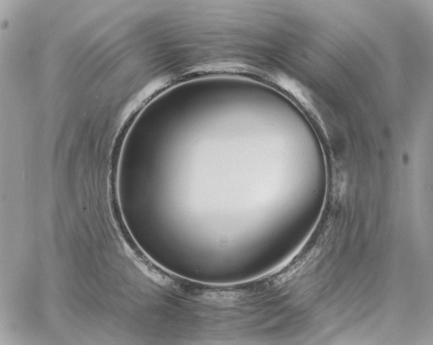 X0000060781237200511171235