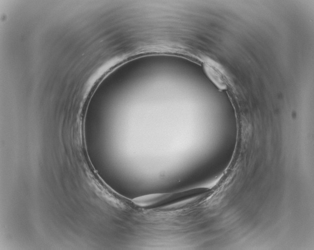 X0000060781238200511171235