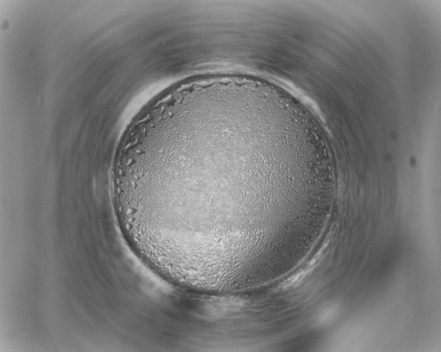 X0000060781239200511171235