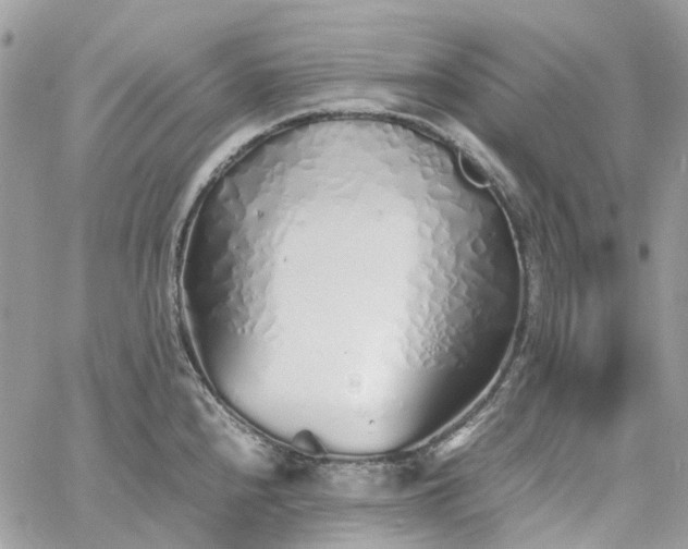 X0000060781240200511171235