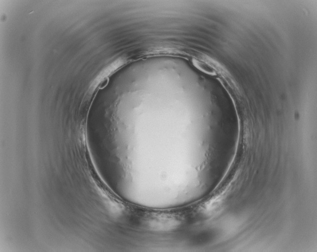 X0000060781241200511171235