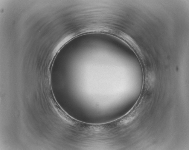 X0000060781242200511171235