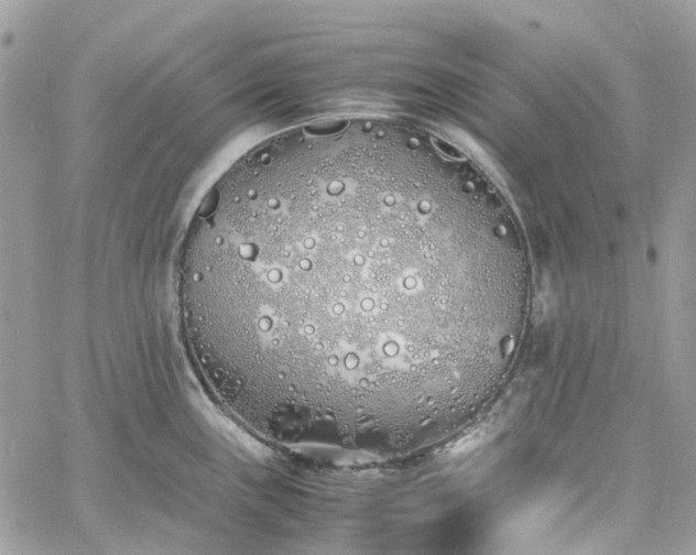 X0000060781243200511171235