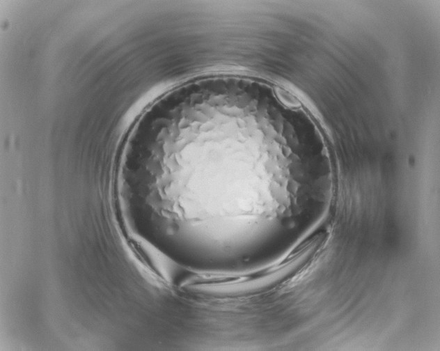 X0000060781245200511171235