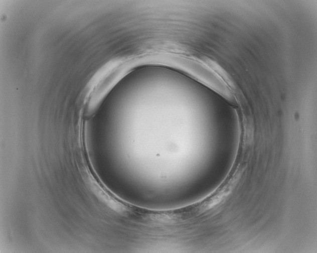 X0000060781246200511171235