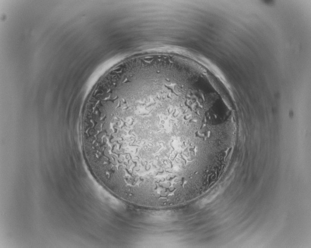 X0000060781247200511171235