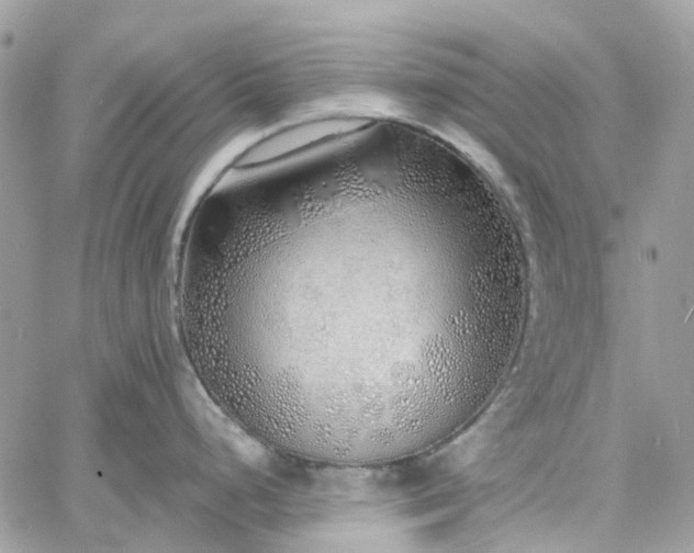 X0000060781248200511171235