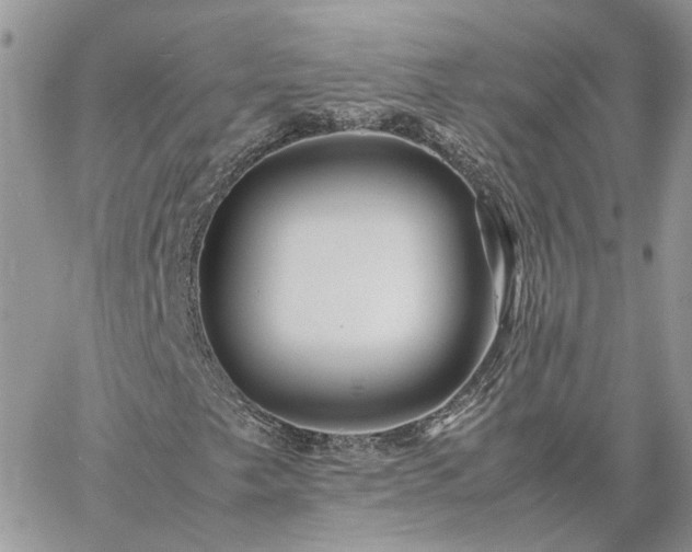 X0000060781249200511171234