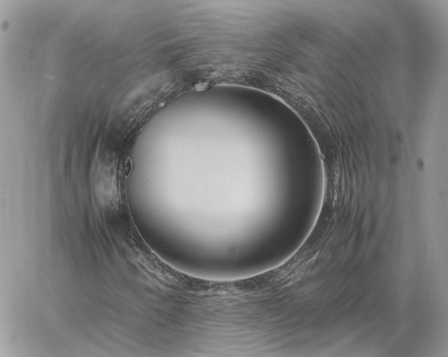 X0000060781250200511171234