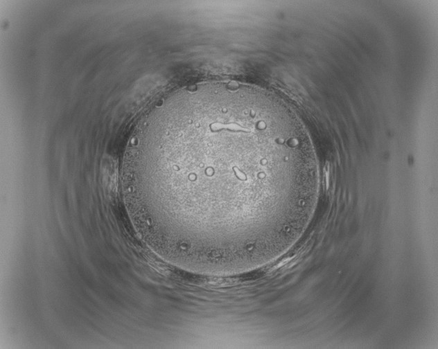 X0000060781251200511171234