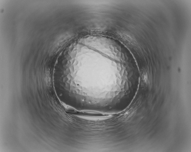 X0000060781252200511171234