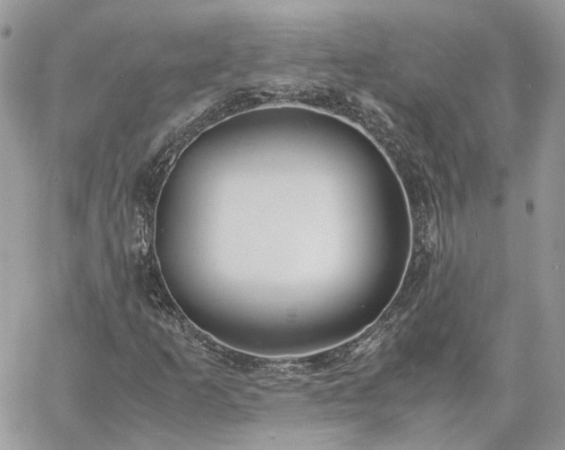 X0000060781253200511171234