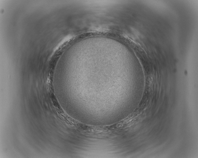 X0000060781254200511171234