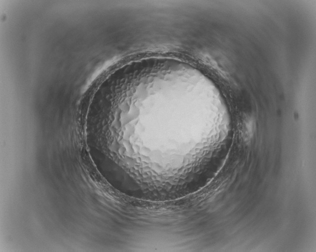 X0000060781256200511171234