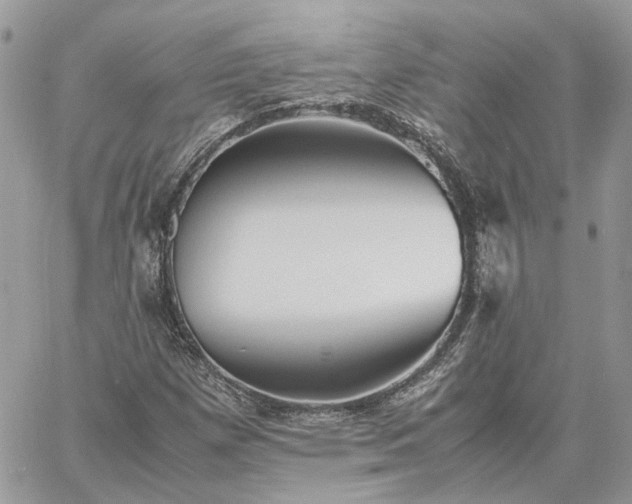 X0000060781257200511171234