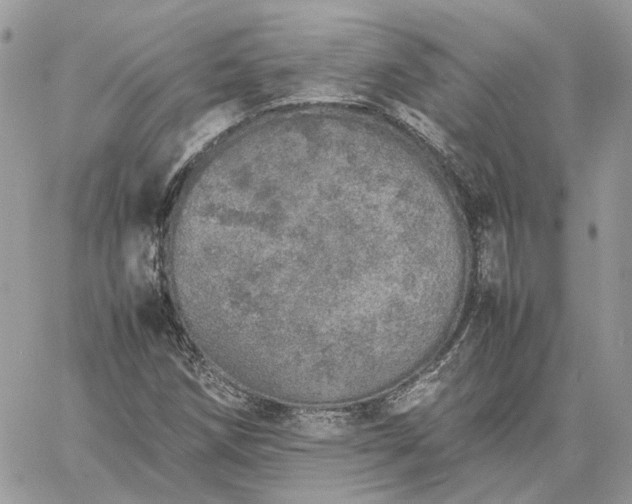 X0000060781258200511171234