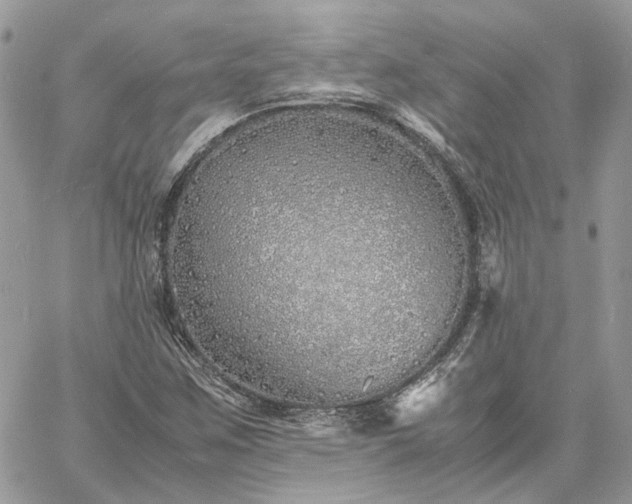 X0000060781259200511171234