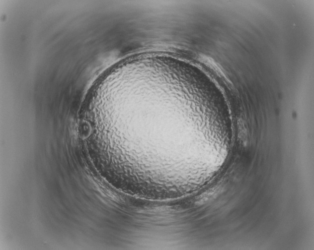 X0000060781260200511171234