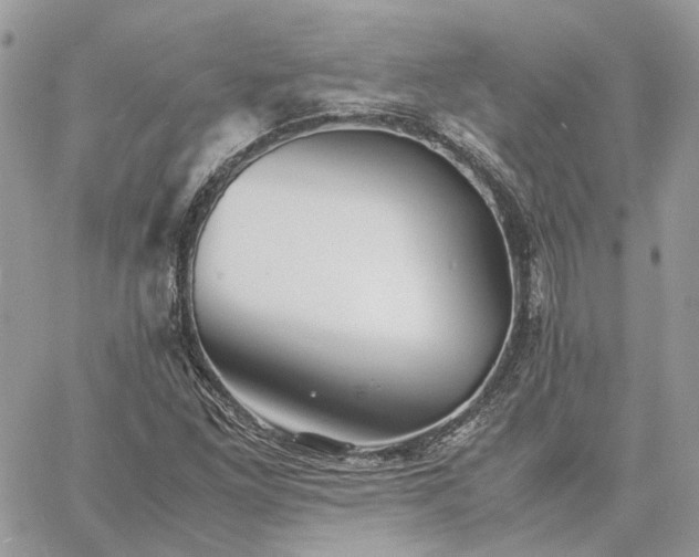 X0000060781261200511171234