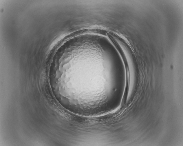 X0000060781263200511171234