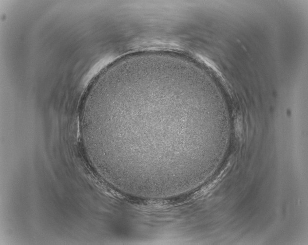 X0000060781267200511171234