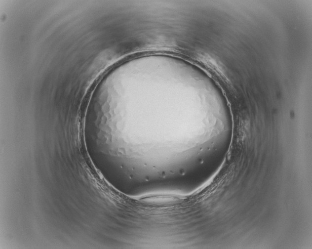 X0000060781268200511171234