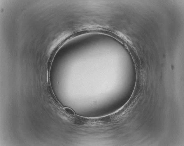 X0000060781269200511171234