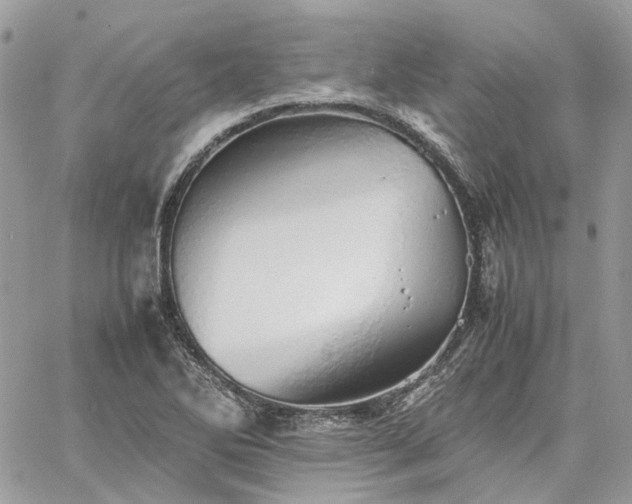 X0000060781270200511171234