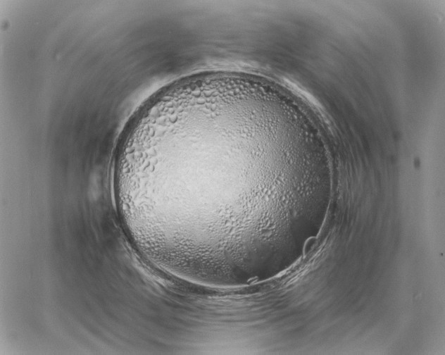 X0000060781272200511171234