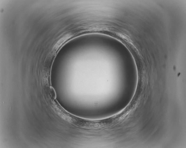 X0000060781273200511171234