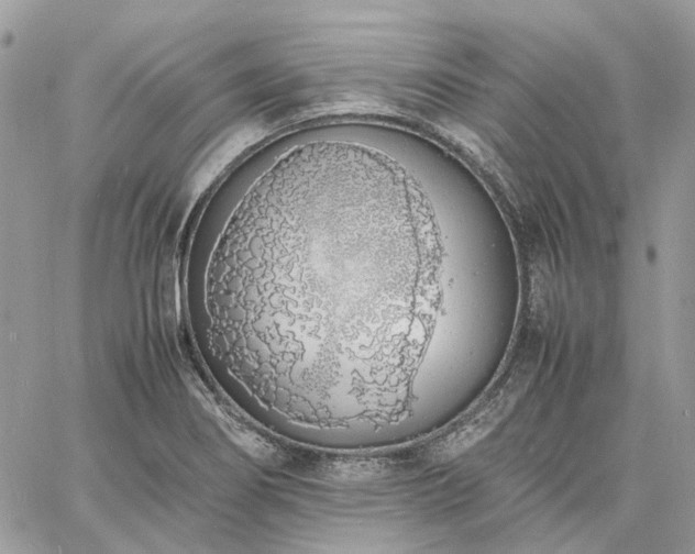 X0000060781274200511171234