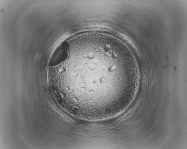 X0000060781275200511171234