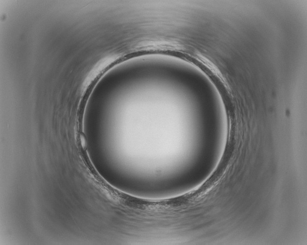 X0000060781277200511171234