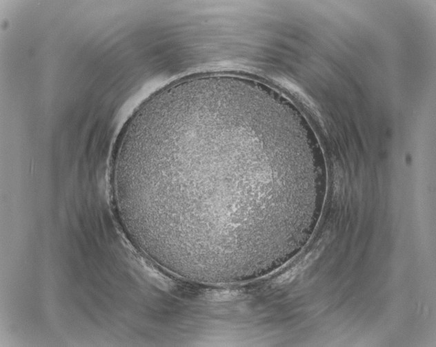 X0000060781278200511171234